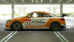 Kevin Arnold 2017 Audi TT Cup 