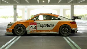 Milan Dontje 2017 Audi TT Cup 